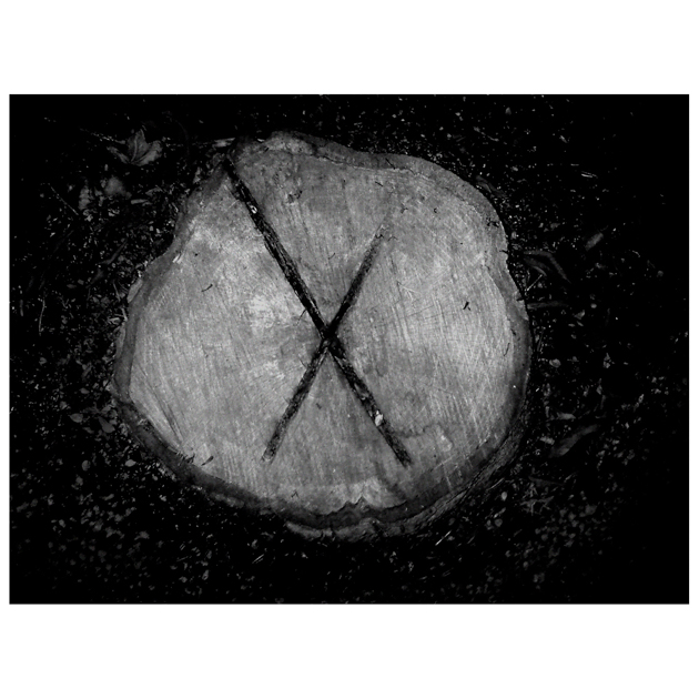 jjohn sisley x stump